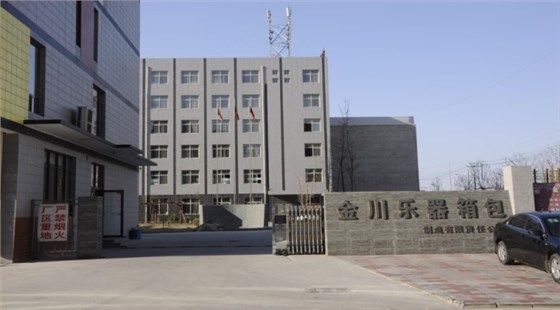 樂(lè)器箱包廠家