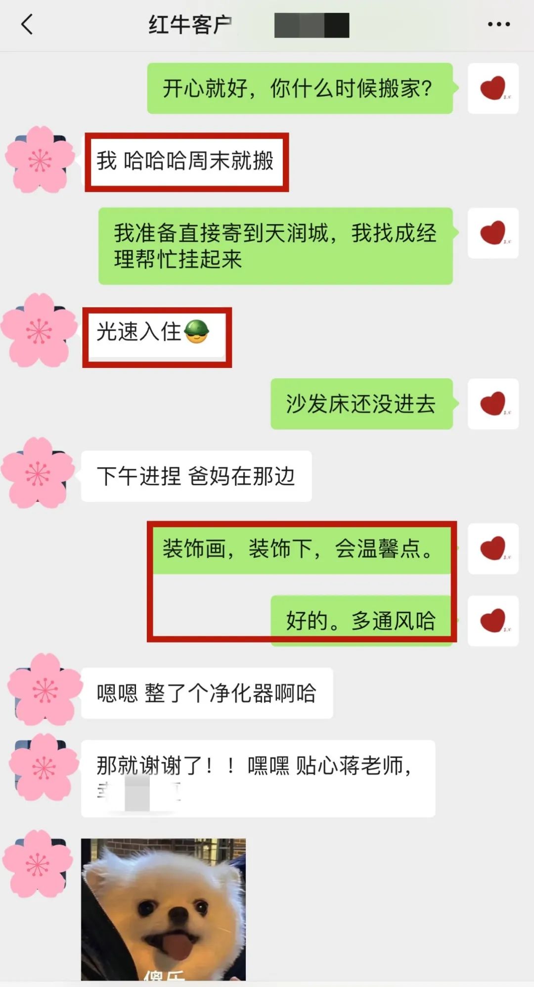喜報(bào)｜金秋十月，收獲滿滿，紅牛裝飾再獲三面錦旗！05