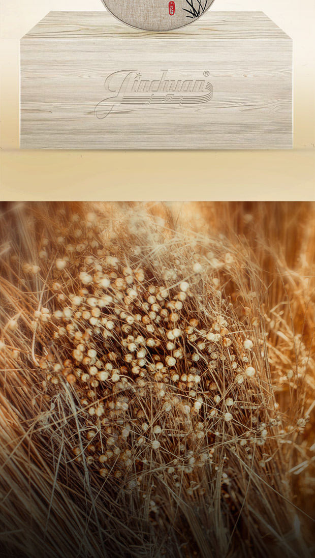 C-1957琵琶包620_02