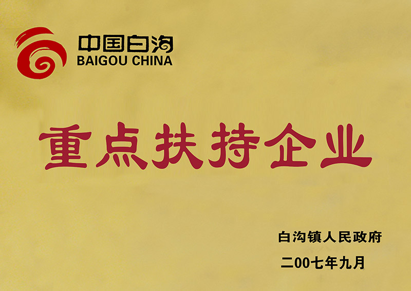 2007年中國白溝重點扶持企業(yè)