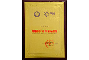 中國市場推薦品牌